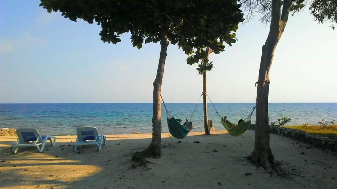 Serenity Beach Cottages Utila Exteriör bild