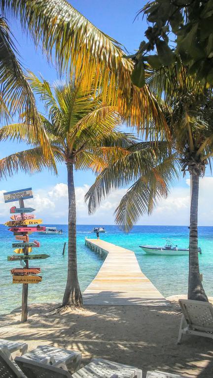 Serenity Beach Cottages Utila Exteriör bild